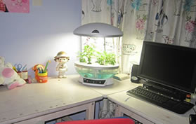 ���ѵ�]��,����diy