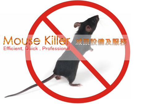 ��������M�a�з������B�������B�X����, �����M���� Mouse Killer