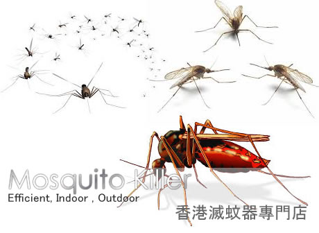 ������A���M�����з��A���B���A���B�X�A��, ���A���M���� Mosquito Killer